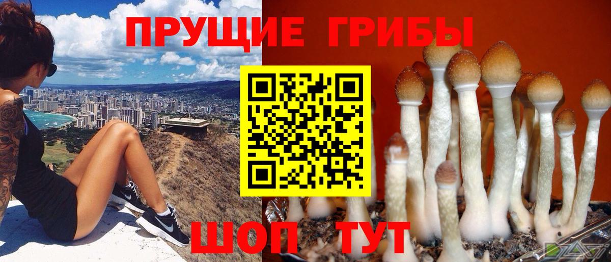 Южно-Сахалинск  Галлюциногенные грибы GOLDEN TEACHER  Вход с VPN  Псилоцибиновые грибы Magic Shrooms 